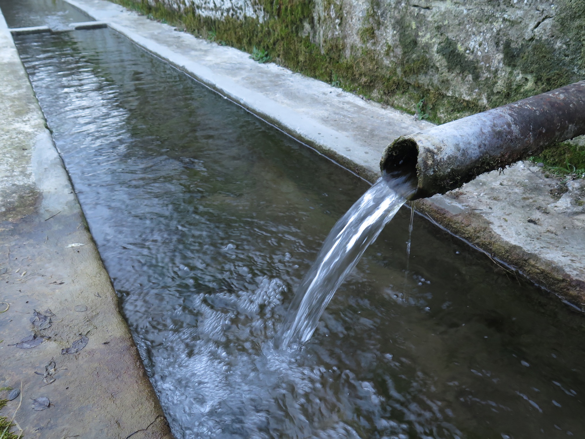 Възстановяване на Топчийка